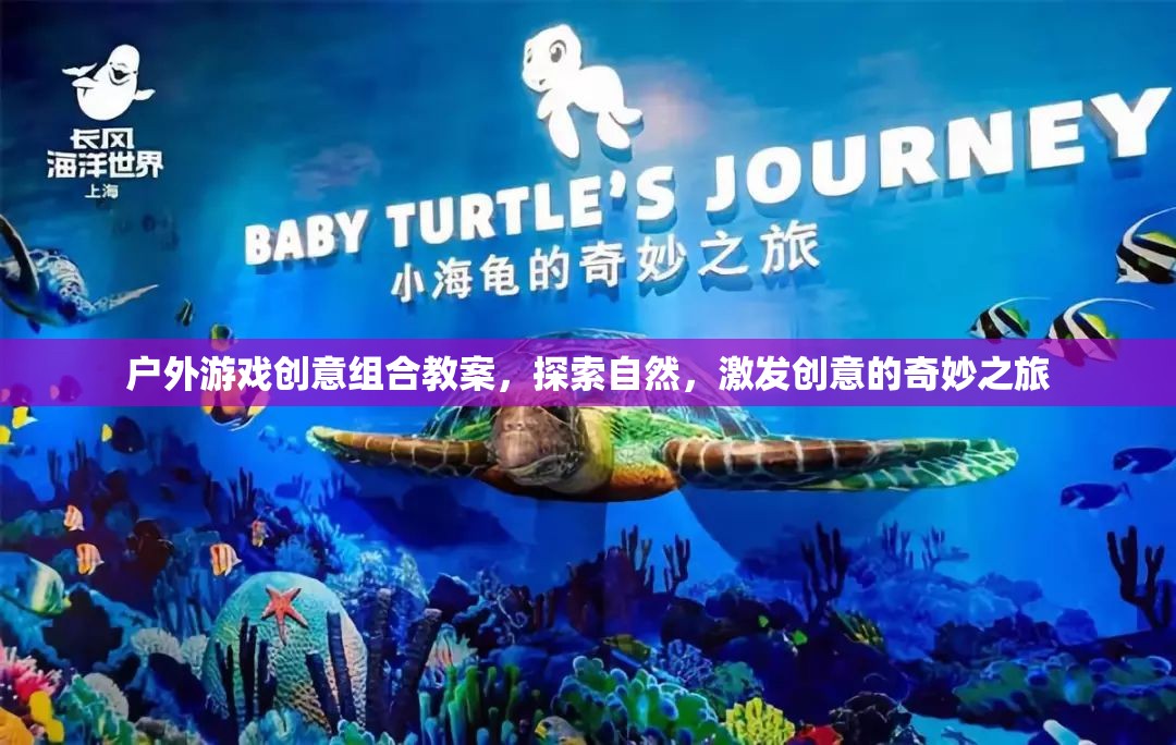 自然探索與創(chuàng)意激發(fā)，戶外游戲創(chuàng)意組合教案的奇妙之旅