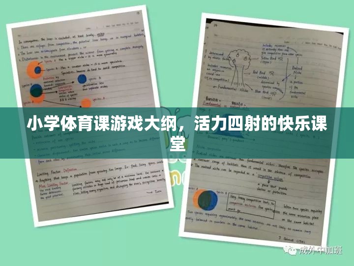 活力四射的快樂課堂，小學(xué)體育課游戲大綱