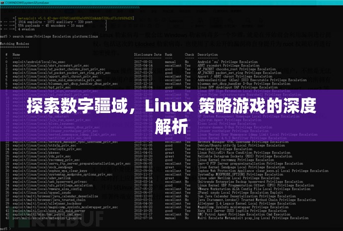 探索數字疆域，Linux策略游戲的深度解析