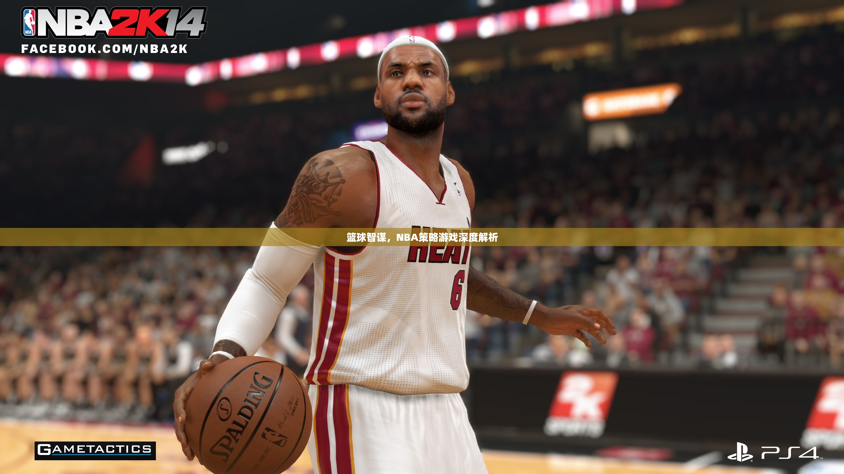 籃球智謀，深度解析NBA策略游戲的策略與智慧