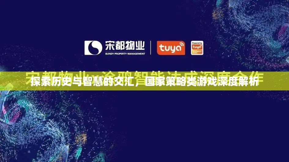歷史智慧與國(guó)家策略，深度解析歷史類策略游戲的魅力