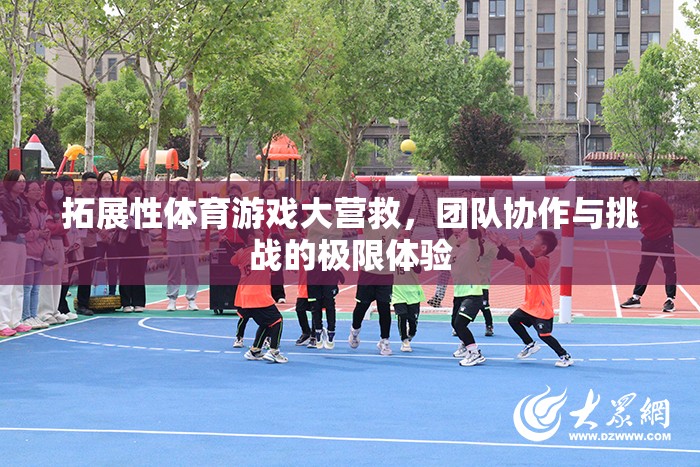 拓展性體育游戲大營(yíng)救，團(tuán)隊(duì)協(xié)作與挑戰(zhàn)的極限體驗(yàn)  第2張