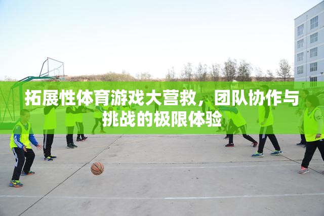 拓展性體育游戲大營(yíng)救，團(tuán)隊(duì)協(xié)作與挑戰(zhàn)的極限體驗(yàn)  第3張