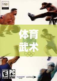解鎖傳統(tǒng)與現(xiàn)代交融的武術(shù)新體驗(yàn)，體育武術(shù)游戲視頻教程  第2張