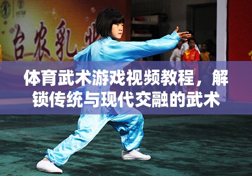 解鎖傳統(tǒng)與現(xiàn)代交融的武術(shù)新體驗(yàn)，體育武術(shù)游戲視頻教程  第3張