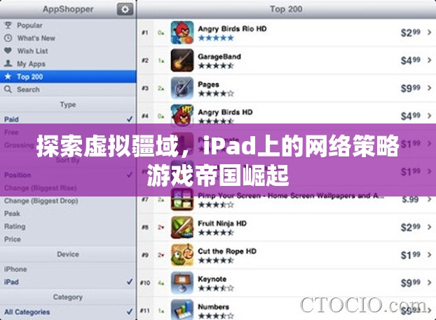 iPad上的帝國崛起，探索虛擬疆域的網(wǎng)絡(luò)策略游戲  第3張