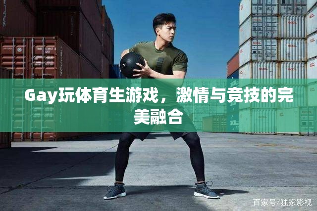 激情與競(jìng)技，Gay體育生游戲的完美融合