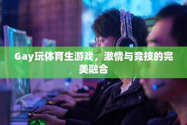 激情與競(jìng)技，Gay體育生游戲的完美融合