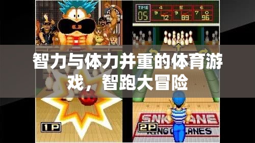 智跑大冒險，智力與體力的雙重挑戰(zhàn)