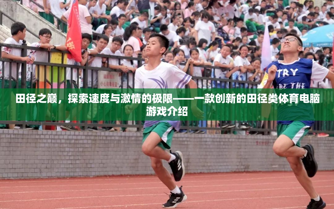 田徑之巔，探索速度與激情的極限——?jiǎng)?chuàng)新田徑類體育電腦游戲揭秘  第1張