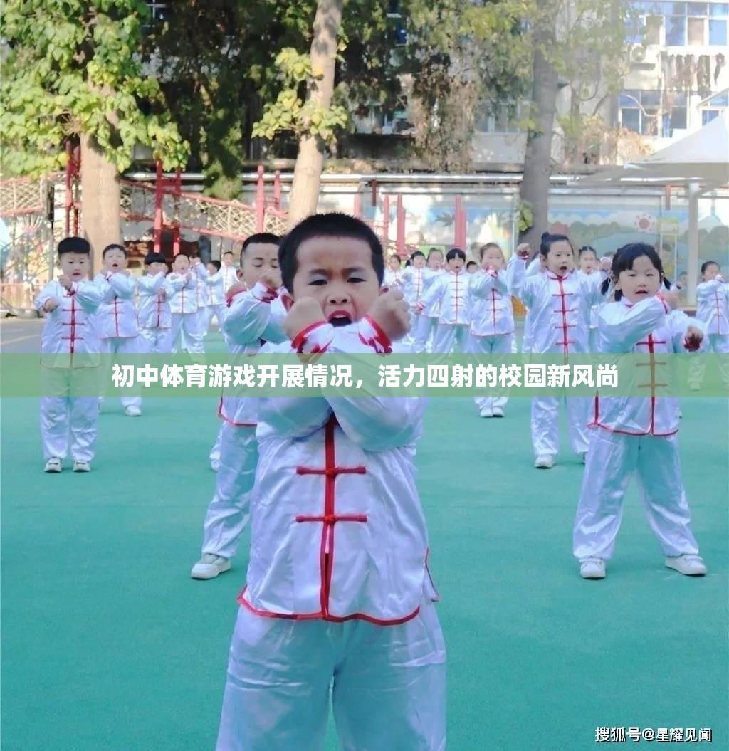 初中體育游戲開展情況，活力四射的校園新風尚