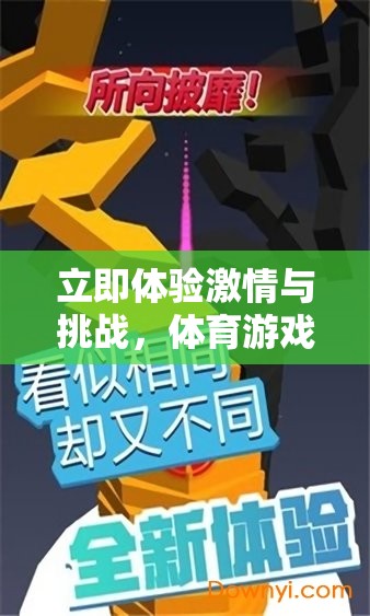 解鎖激情與挑戰(zhàn)，體育游戲下載安裝全攻略