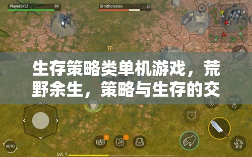 荒野余生，生存策略類游戲的生存與策略交響曲
