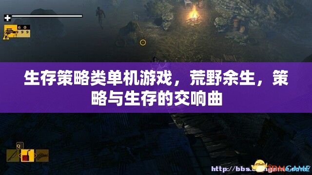 荒野余生，生存策略類游戲的生存與策略交響曲