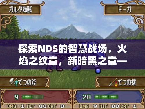 探索NDS的智慧戰(zhàn)場，火焰之紋章，新暗黑之章——策略與冒險的完美交融