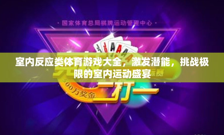室內(nèi)反應(yīng)類體育游戲大全，激發(fā)潛能，挑戰(zhàn)極限的室內(nèi)運動盛宴