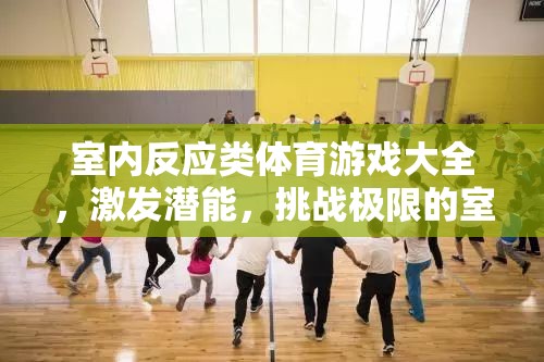 室內(nèi)反應(yīng)類體育游戲大全，激發(fā)潛能，挑戰(zhàn)極限的室內(nèi)運動盛宴