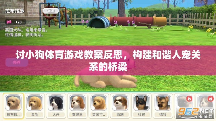 構(gòu)建和諧人寵關(guān)系的橋梁，對小狗體育游戲教案的反思與啟示  第1張