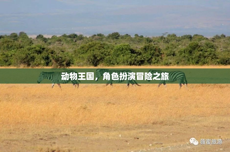 動(dòng)物王國(guó)，角色扮演的奇幻冒險(xiǎn)之旅