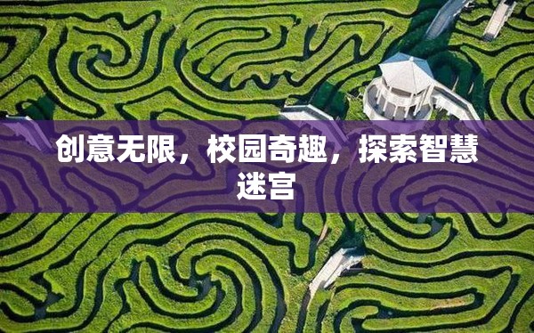 校園奇趣，創(chuàng)意無限，智慧迷宮的探索之旅