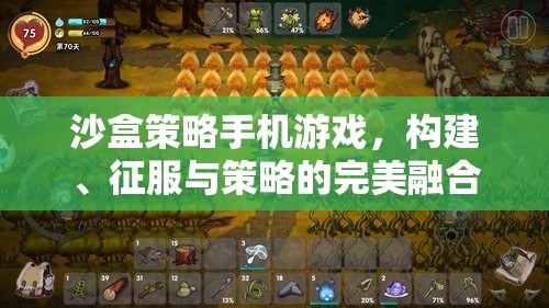沙盒策略，構建、征服與策略的完美融合