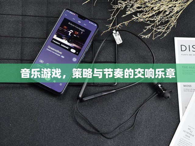 音樂與策略的交響，探索音樂游戲的節(jié)奏與策略