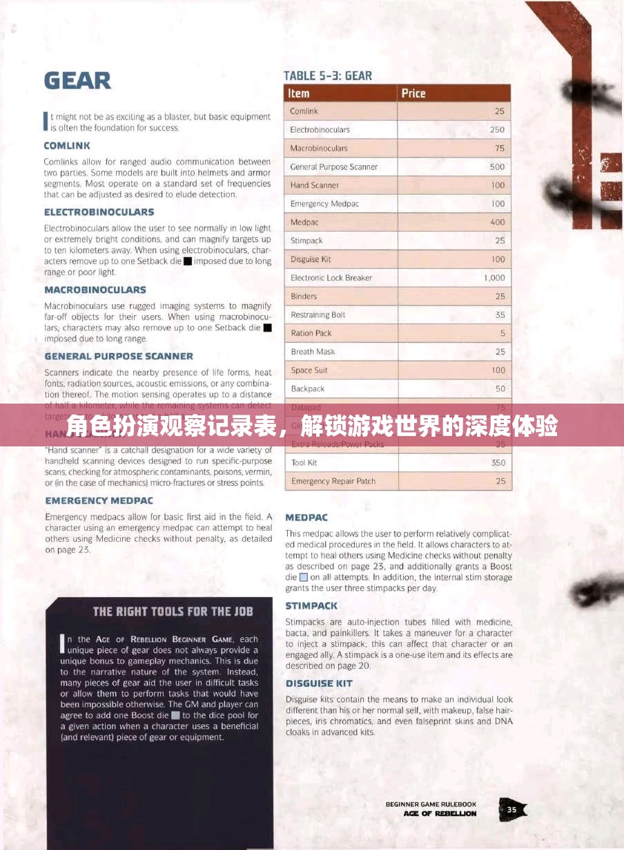 解鎖游戲深度，角色扮演觀察記錄表的應(yīng)用與體驗(yàn)
