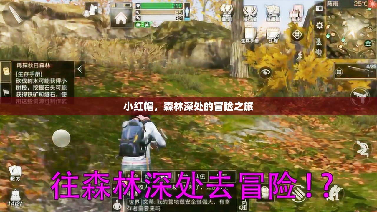 小紅帽，森林深處的冒險之旅