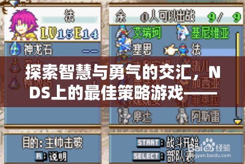 智慧與勇氣的碰撞，NDS經(jīng)典策略游戲火焰之紋章，新暗黑龍與光之劍