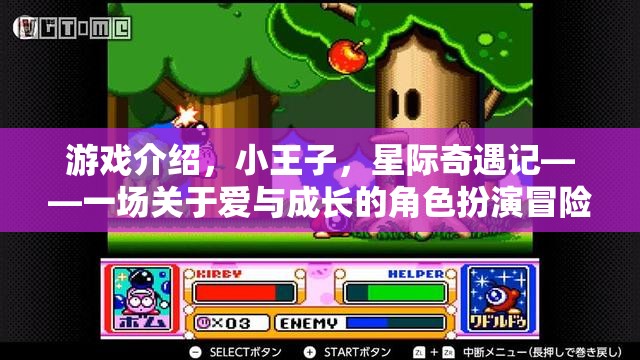小王子星際奇遇，愛(ài)與成長(zhǎng)的角色扮演冒險(xiǎn)之旅  第2張
