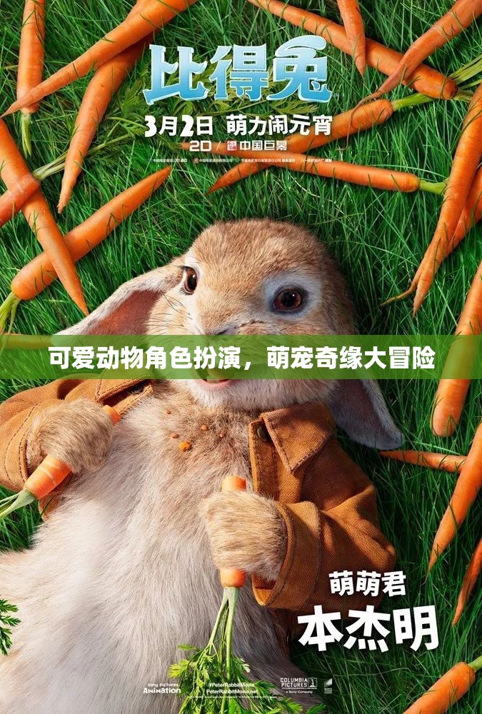 萌寵奇緣，可愛(ài)動(dòng)物角色大冒險(xiǎn)