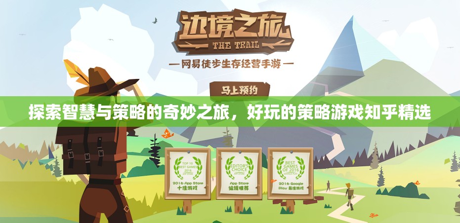 智慧與策略的奇妙探險(xiǎn)，知乎精選策略游戲指南