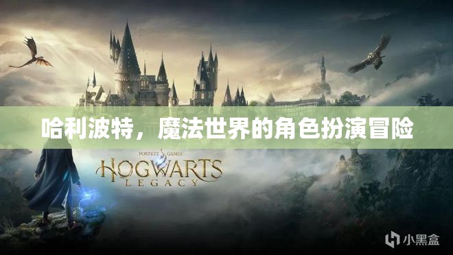 哈利波特，魔法世界的角色扮演冒險