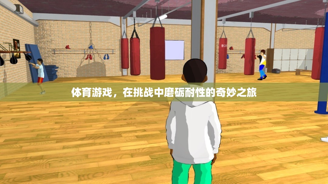 挑戰(zhàn)與耐性，體育游戲中的奇妙之旅