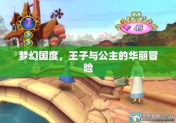 夢(mèng)幻國度，王子與公主的華麗冒險(xiǎn)之旅  第1張