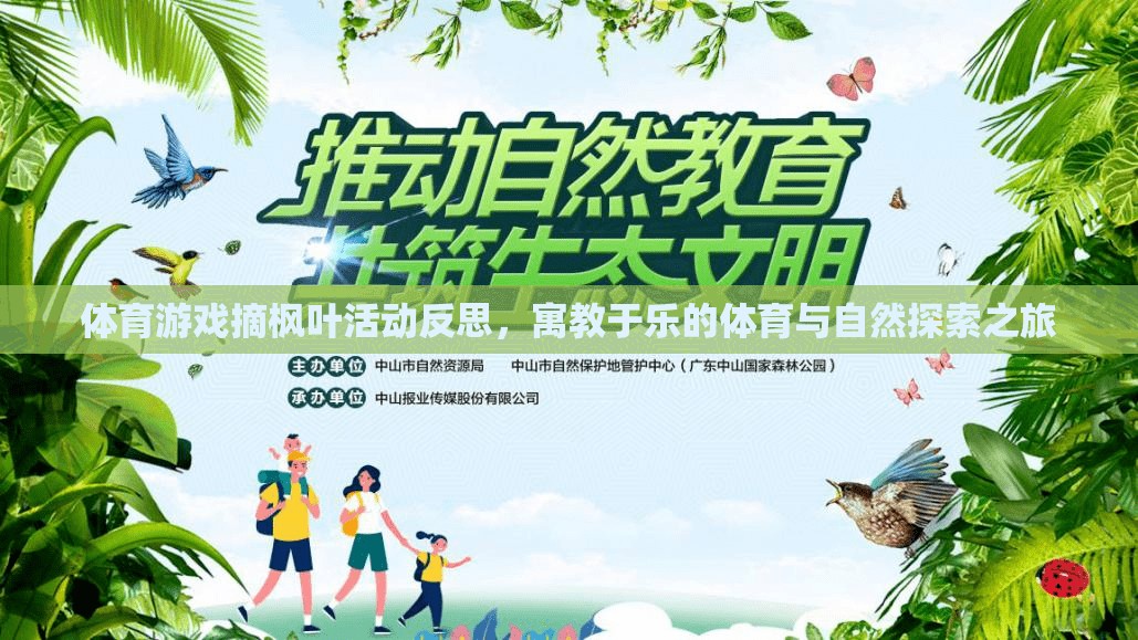 體育游戲摘楓葉活動反思，寓教于樂的體育與自然探索之旅