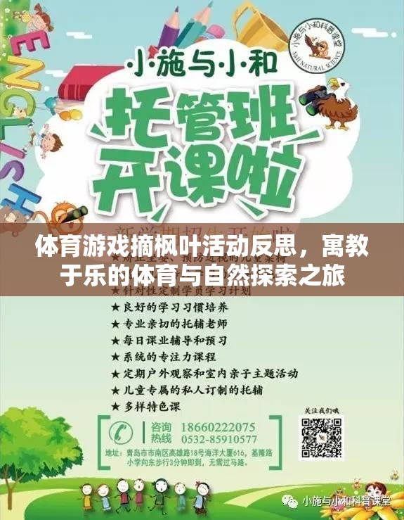 體育游戲摘楓葉活動反思，寓教于樂的體育與自然探索之旅