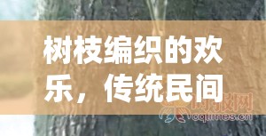 樹影穿梭，傳統(tǒng)民間體育游戲中的樹枝編織歡樂