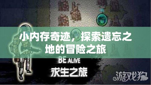 小內(nèi)存奇跡，探索遺忘之地的冒險之旅