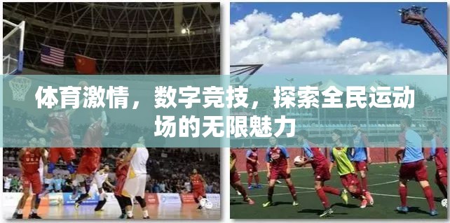 全民運(yùn)動(dòng)場(chǎng)，體育激情與數(shù)字競(jìng)技的無(wú)限魅力探索