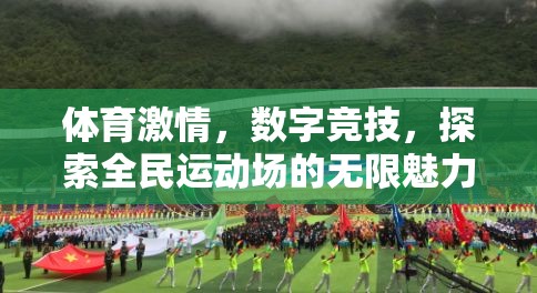 全民運(yùn)動(dòng)場(chǎng)，體育激情與數(shù)字競(jìng)技的無(wú)限魅力探索