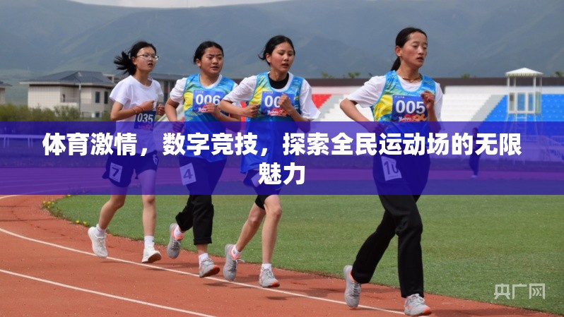 全民運(yùn)動(dòng)場(chǎng)，體育激情與數(shù)字競(jìng)技的無(wú)限魅力探索
