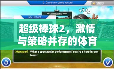 超級(jí)棒球2，融合激情與策略的體育游戲教案設(shè)計(jì)