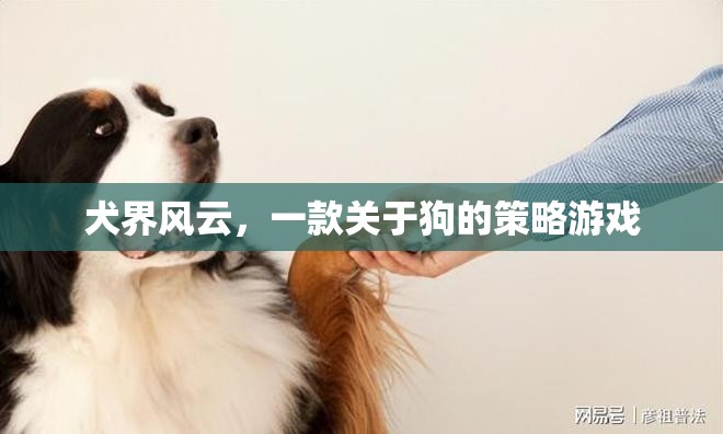 犬界風(fēng)云，策略與愛交織的狗狗王國