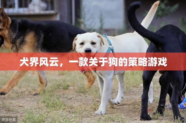 犬界風(fēng)云，策略與愛交織的狗狗王國