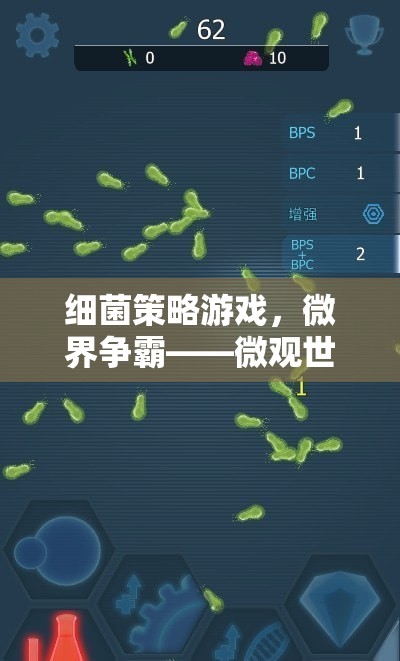 細菌策略游戲，微界爭霸——微觀世界的智慧較量