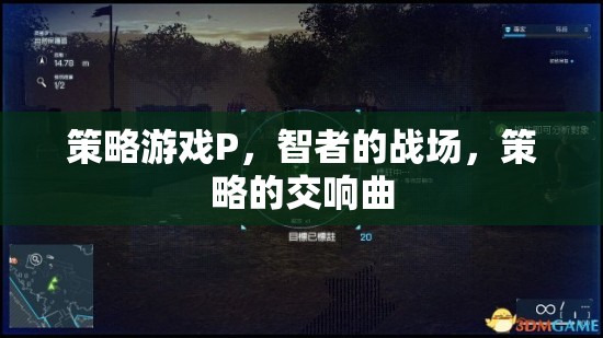 策略游戲P，智者的戰(zhàn)場，策略的交響曲