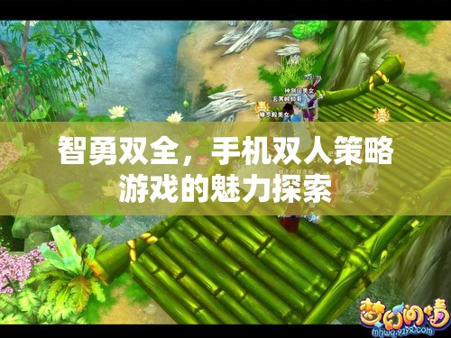 智勇雙全，手機(jī)雙人策略游戲的魅力探索