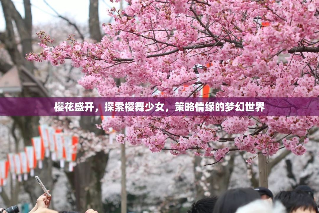 櫻舞少女，策略情緣下的夢(mèng)幻櫻花之旅