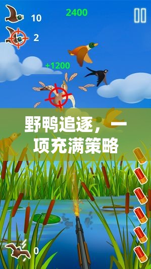 野鴨追逐，策略與協(xié)作的體育游戲反思  第1張